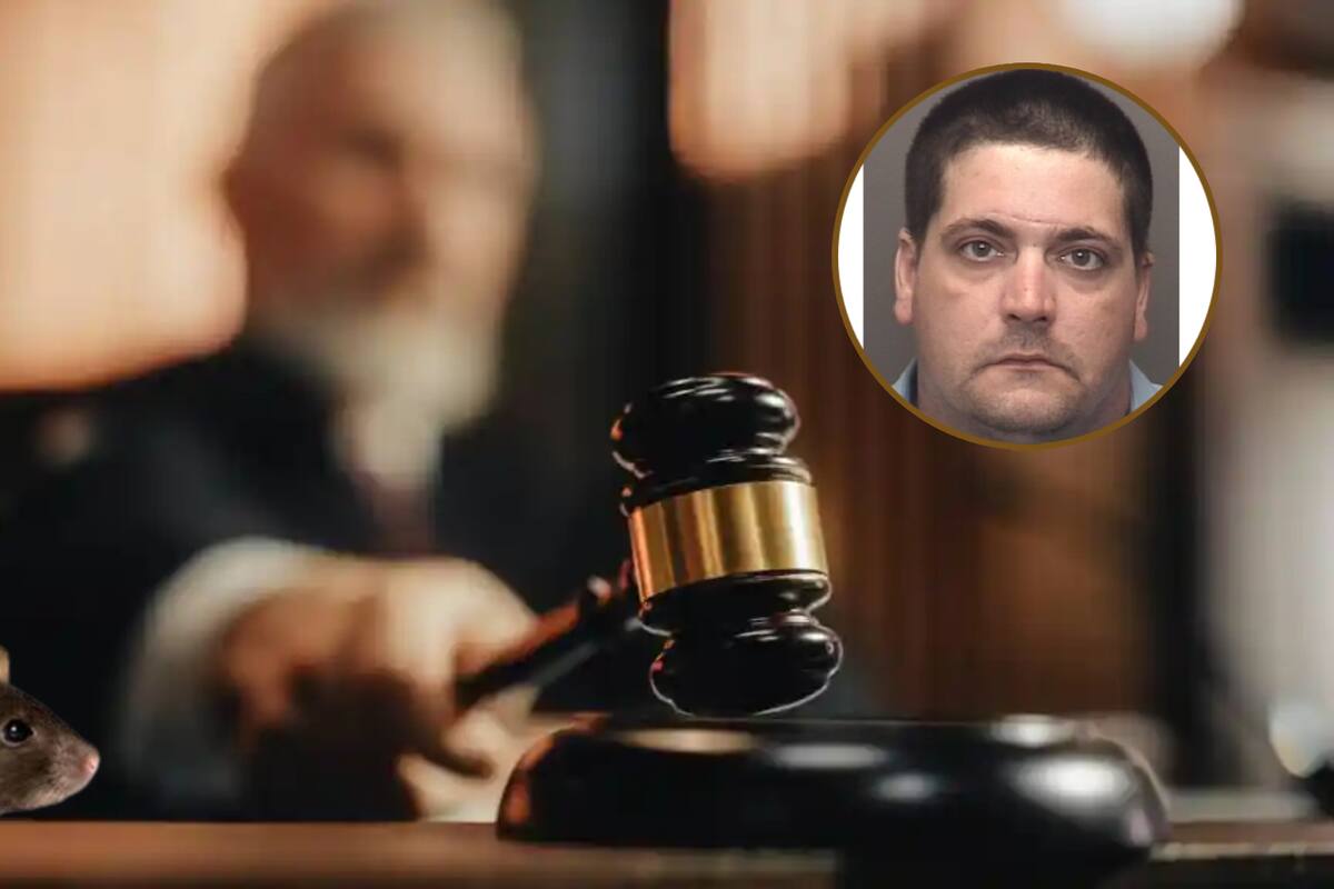 Hombre en USA enfrenta condena por maltrato infantil tras ataque de ratas contra su hijo