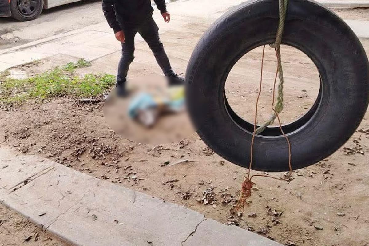 Exigen justicia por muerte de perro víctima de crueldad extrema en Ensenada