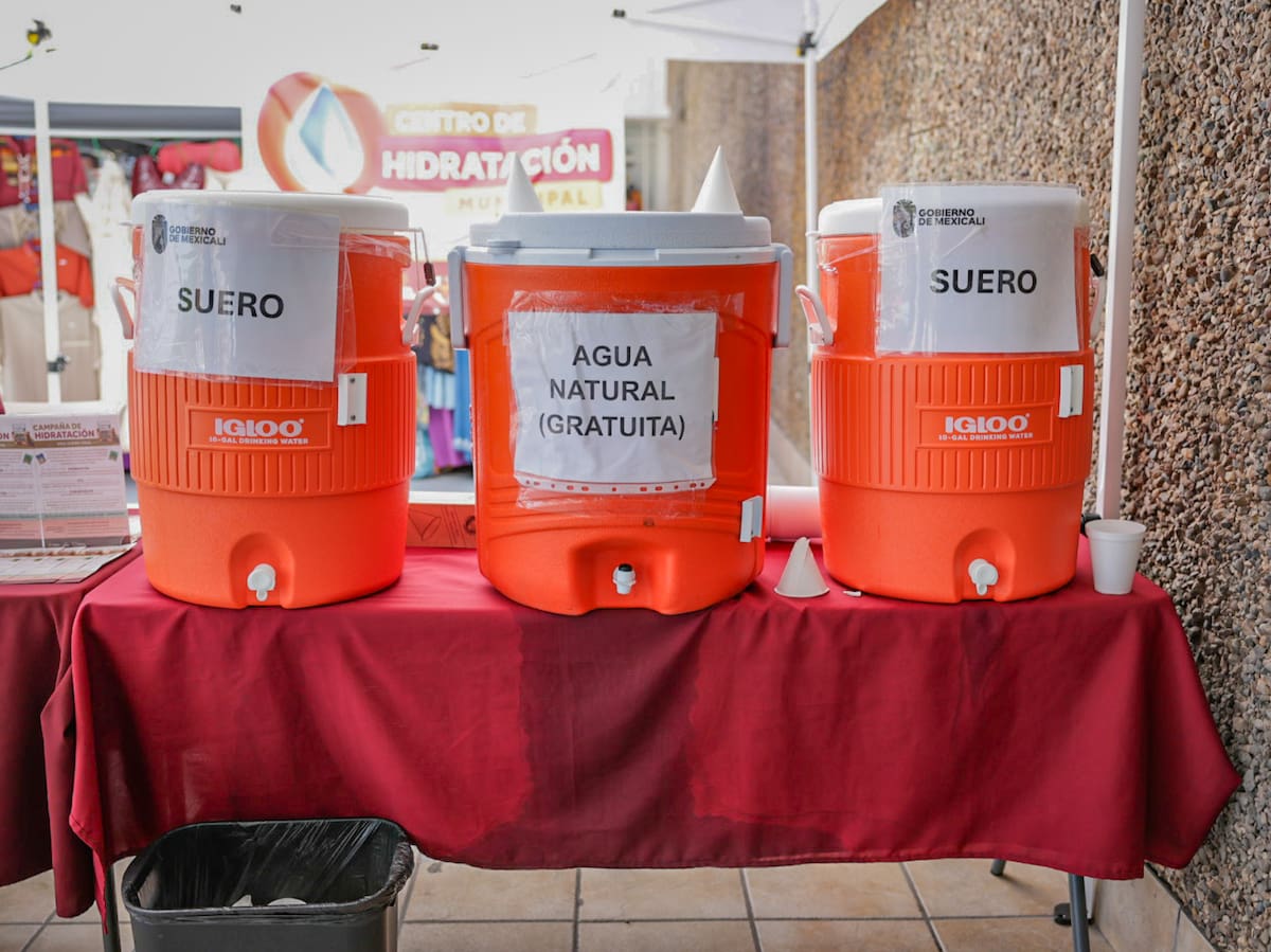 Foto: Javier Gallegos