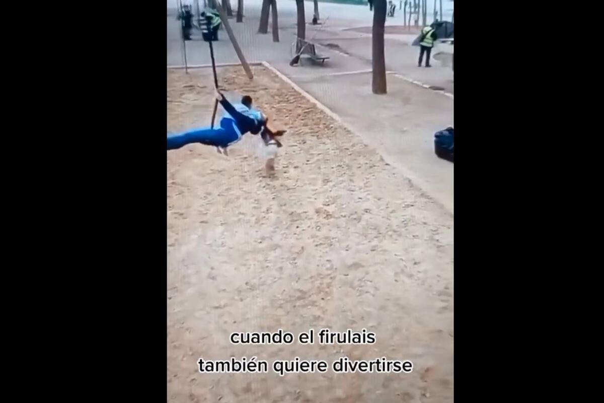 VIRAL TIKTOK: Perrito ve que su dueña se divierte en columpio y ocasiona "accidente"