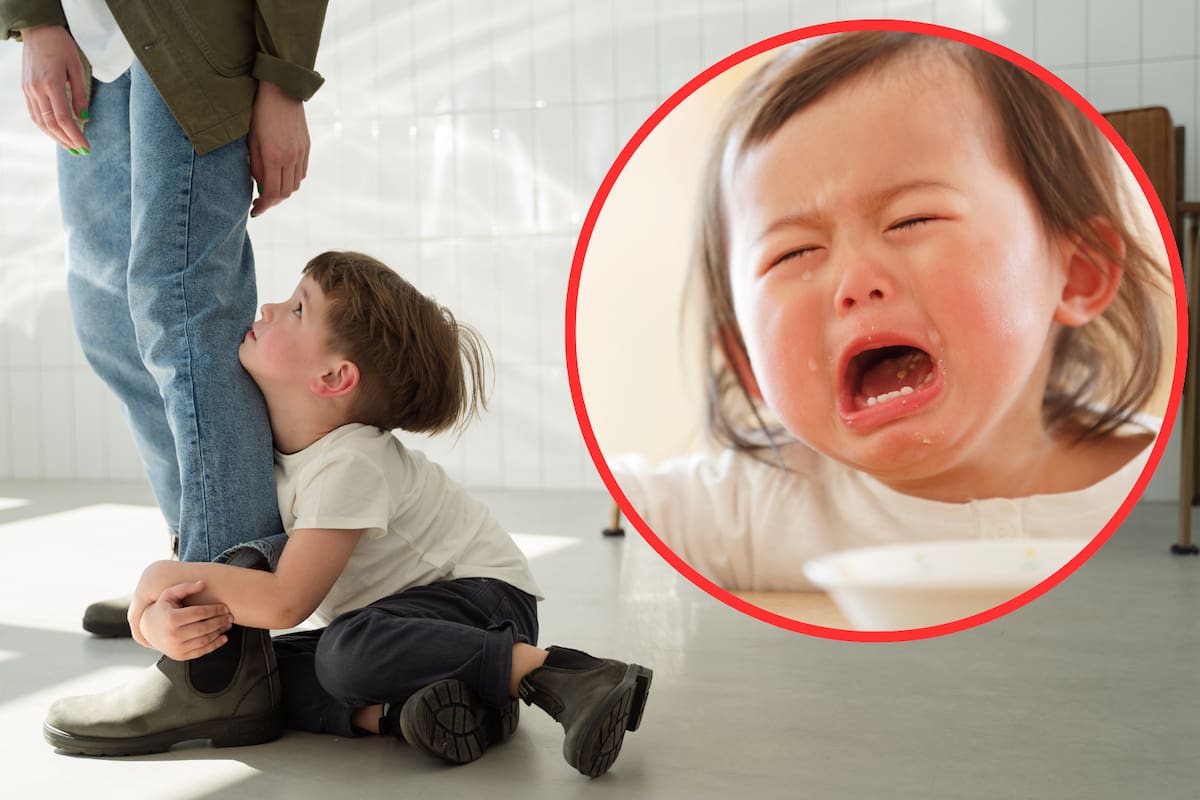 Teoría del apego: qué es y por qué influye en tus relaciones toda la vida