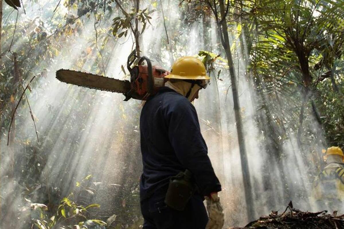 Fondos billonarios rechaza políticas ambientales de Brasil; podrían revisar inversión
