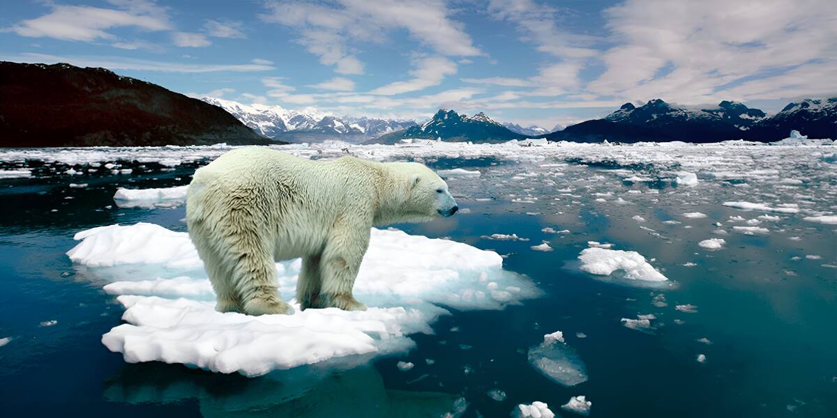 Cambio climático.