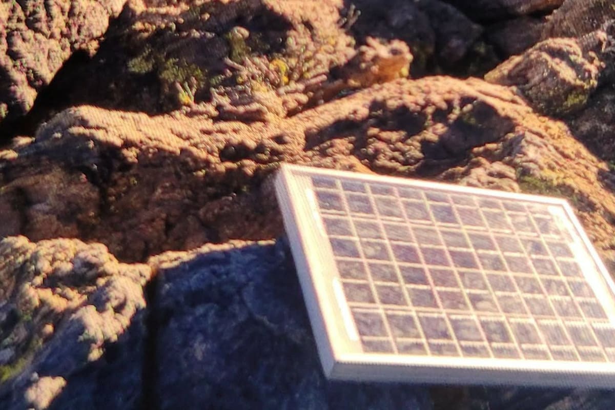 Patrulla Fronteriza captura a presuntos exploradores de contrabando