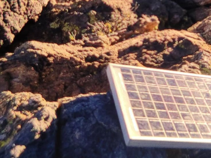 Patrulla Fronteriza captura a presuntos exploradores de contrabando