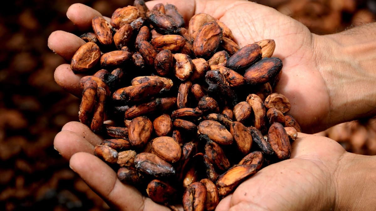 ¿Pasas horas sentado? Estos son los dos alimentos que los expertos recomiendan para cuidar tu corazón.