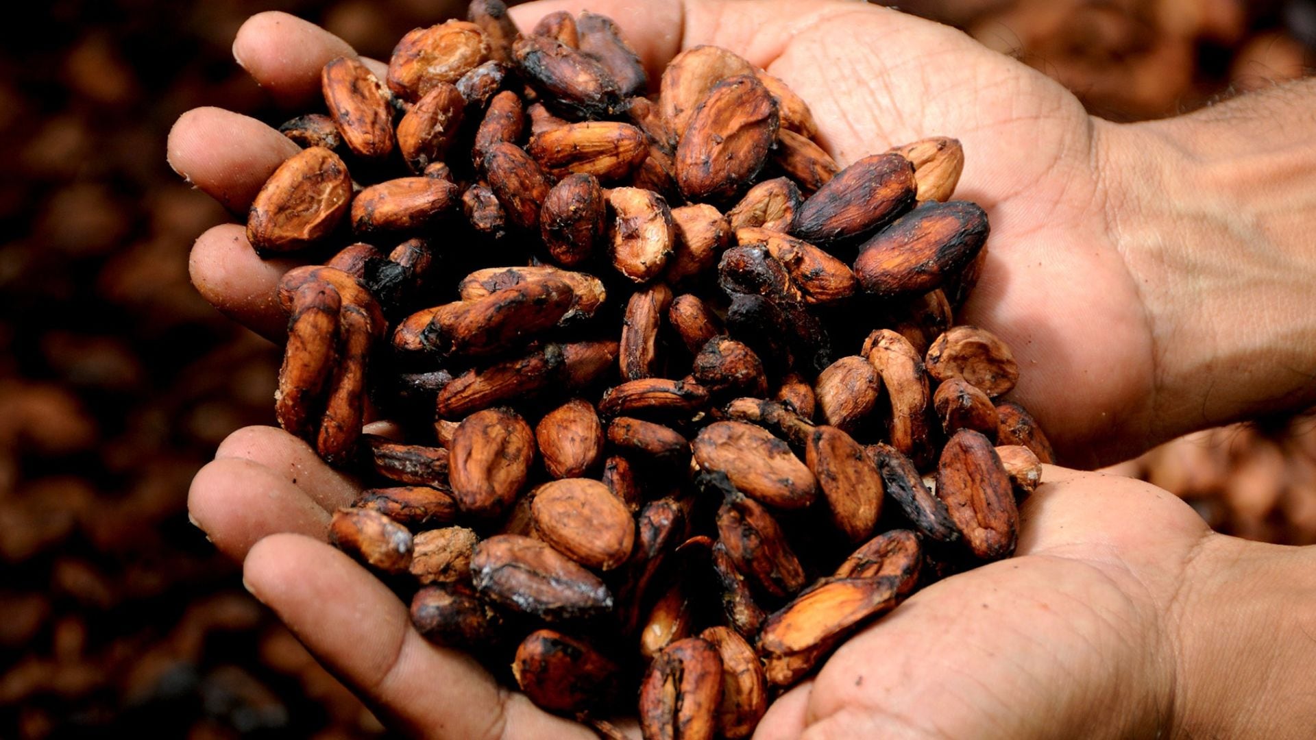 ¿Pasas horas sentado? Estos son los dos alimentos que los expertos recomiendan para cuidar tu corazón.