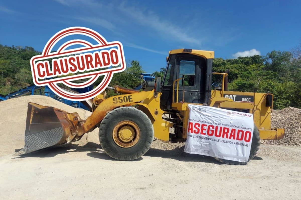 Profepa clausura tres predios por extracción ilegal de material pétreo y devastación de selva en Chiapas