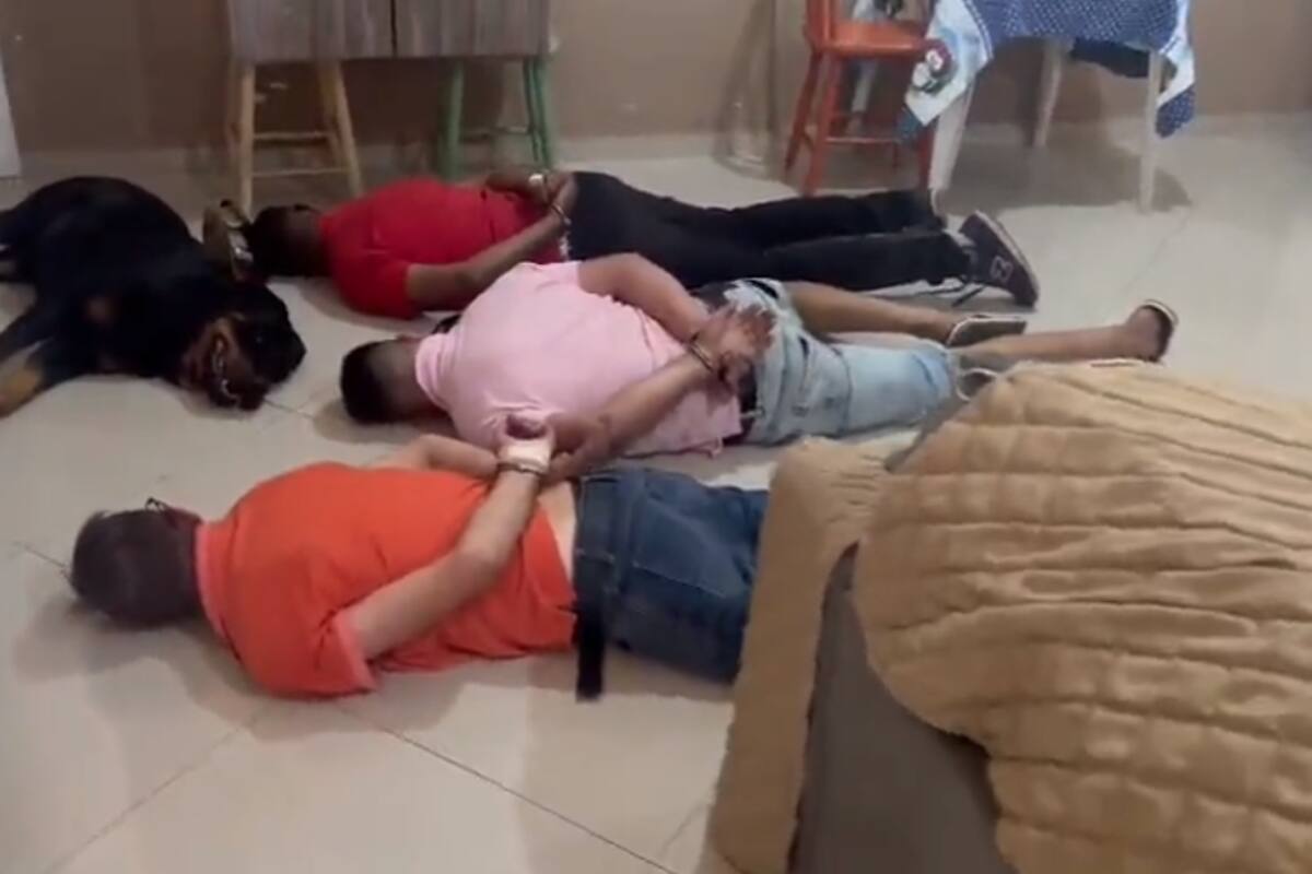 VIDEO: “Narco-perro” se rinde ante las autoridades junto a sus amos detenidos