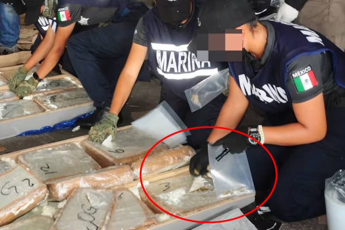 Embargan más de 6 toneladas de mariguana en el puerto de Veracruz