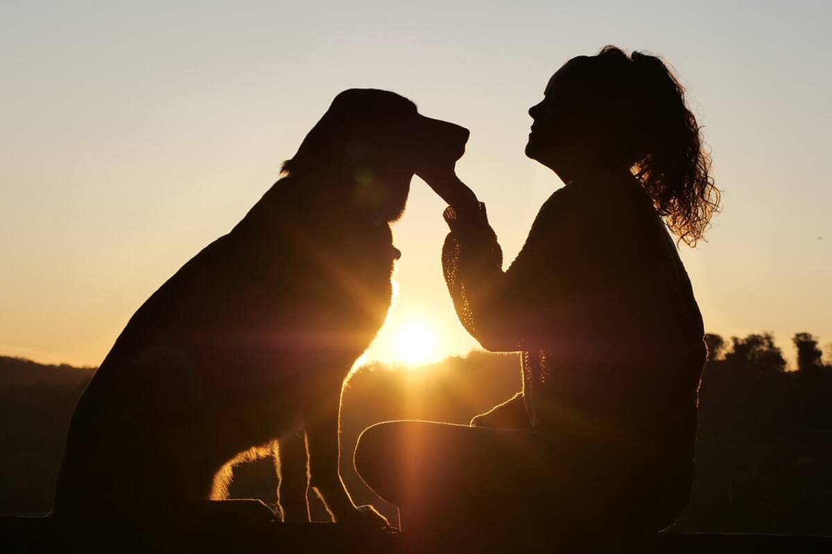 EU: Joven le dispara en el pecho a menor que intentó robar su perro