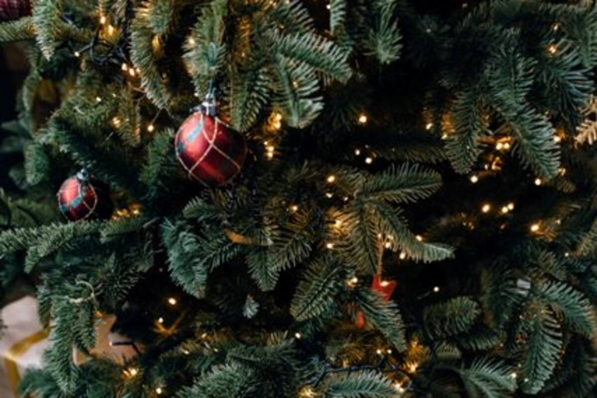 Tener una Navidad sustentable está en sus manos