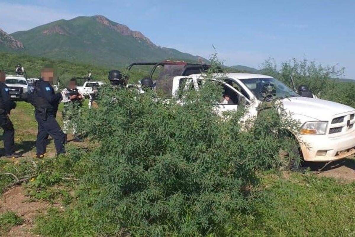 Aseguran armas y auto en Magdalena tras operativos