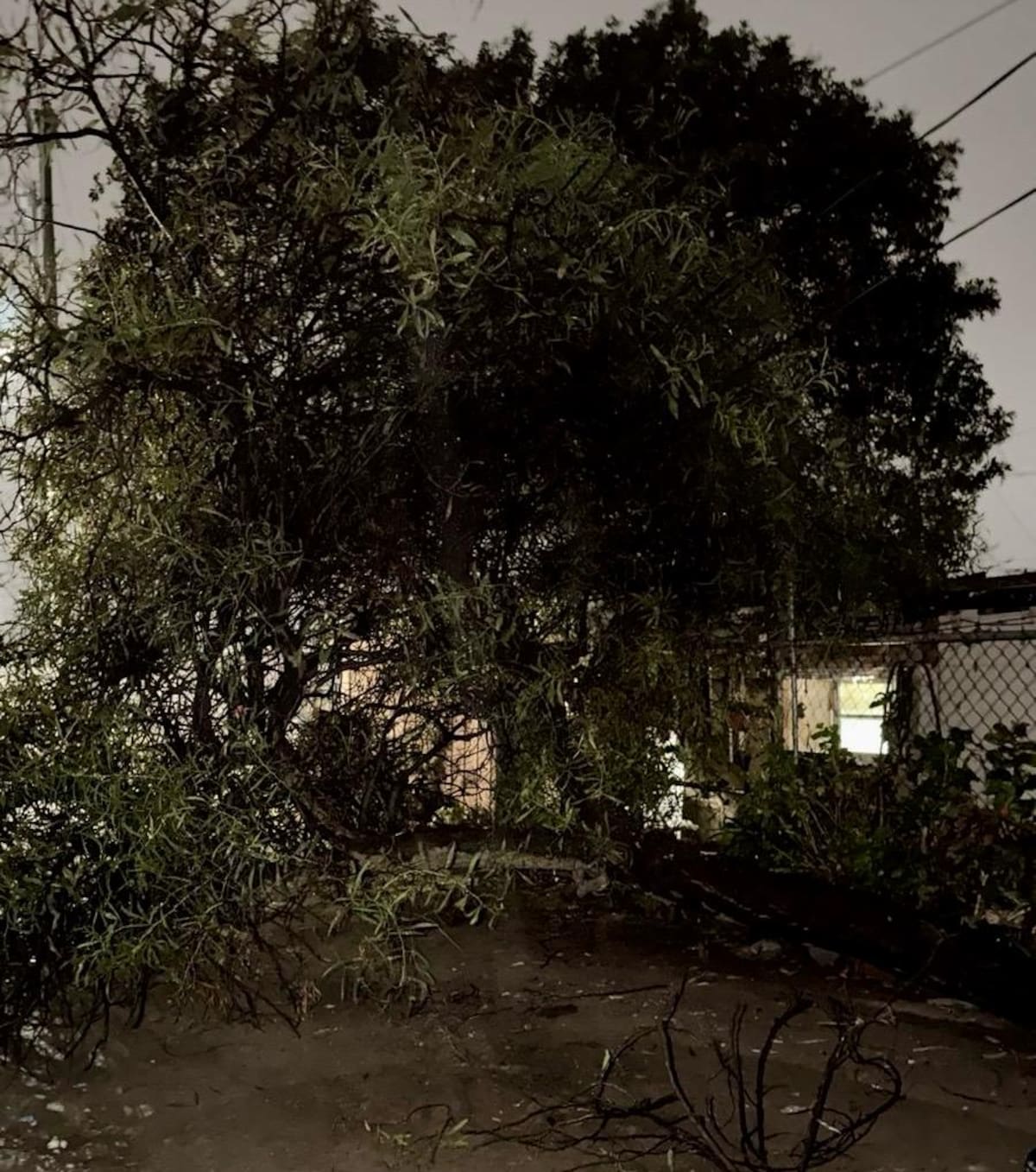 La Dirección de Protección Civil atendió y canalizó incidencias como cortocircuitos, cables colgando, explosiones de transformador, inundaciones y caídas de postes; se registró un acumulado de 7.8 milímetros, con saldo blanco hasta el momento. Foto: Cortesía