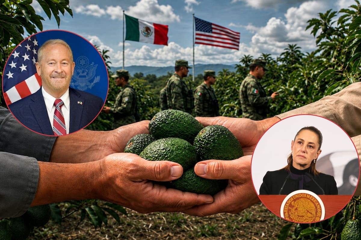 Estados Unidos reanuda las inspecciones de aguacate en Michoacán tras una semana de suspensión y el despliegue de seguridad de más de 1,500 elementos mexicanos para proteger a inspectores, huertas y empacadoras
