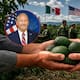 EEUU reactiva inspecciones de aguacate en Michoacán