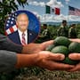Estados Unidos reanuda las inspecciones de aguacate en Michoacán tras una semana de suspensión y el despliegue de seguridad de más de 1,500 elementos mexicanos para proteger a inspectores, huertas y empacadoras