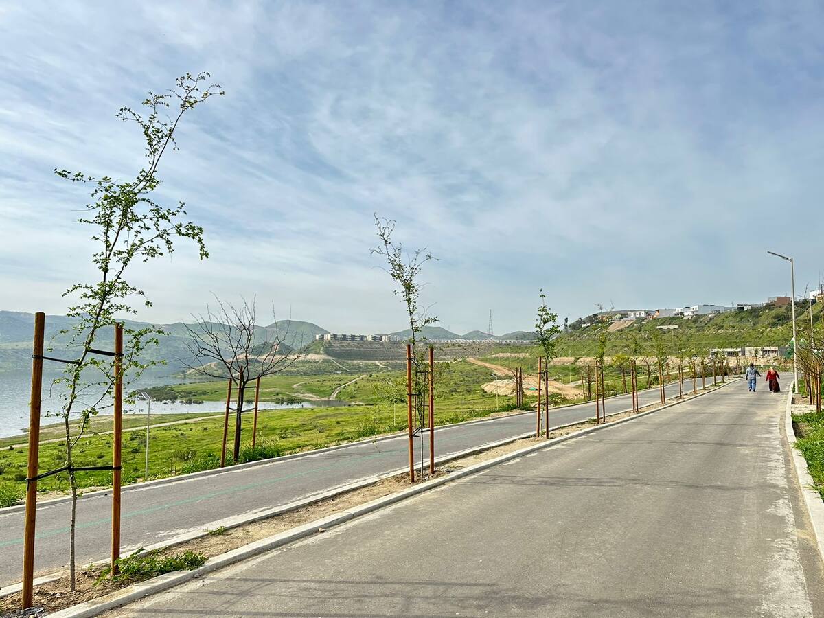 Se trabaja en ocho frentes de trabajo enfocados en la construcción de terracerías, bordillos, cruces pluviales y jardinería.