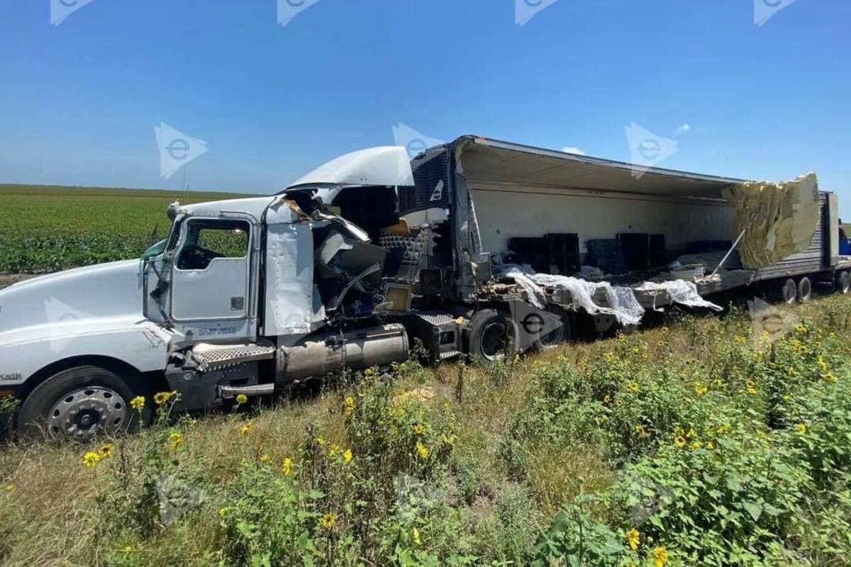 Piden investigar tráiler que transportaba 4 toneladas de animales muertos