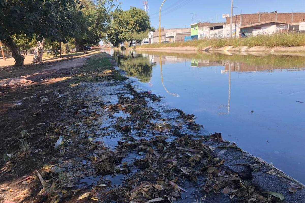 Se desborda canal de riego en la colonia México de Cajeme