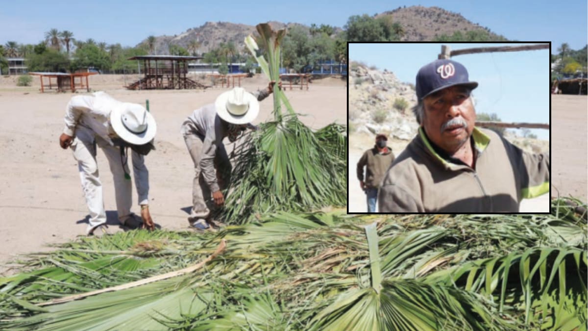 Invitan a vivir la tradición en las ramadas yaquis