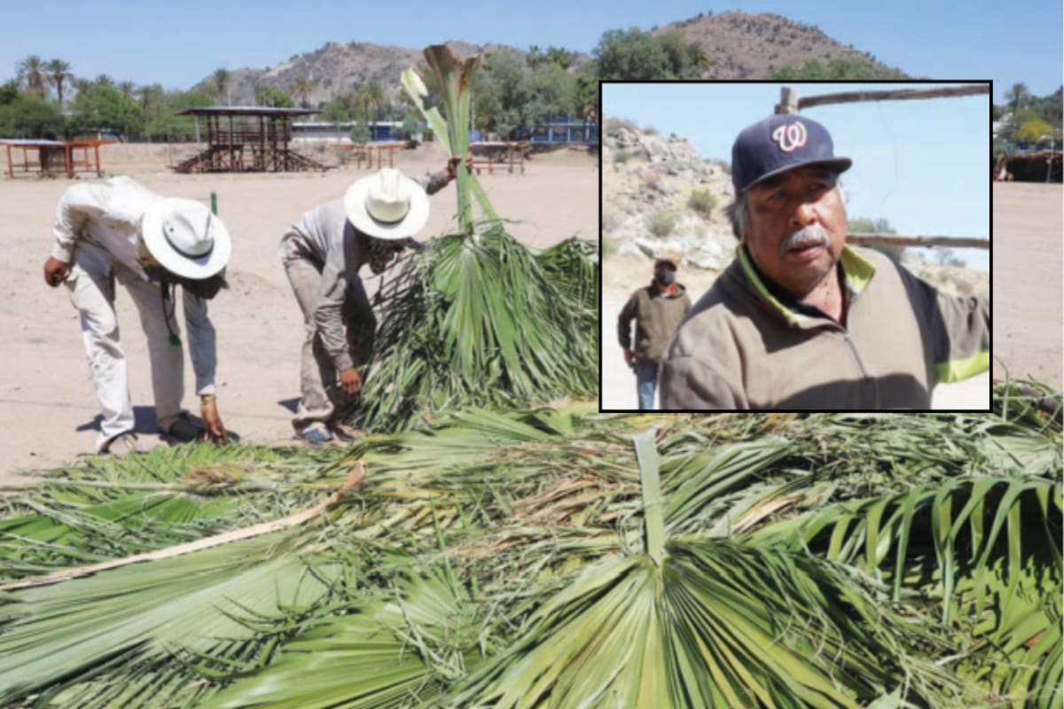 Invitan a vivir la tradición en las ramadas yaquis