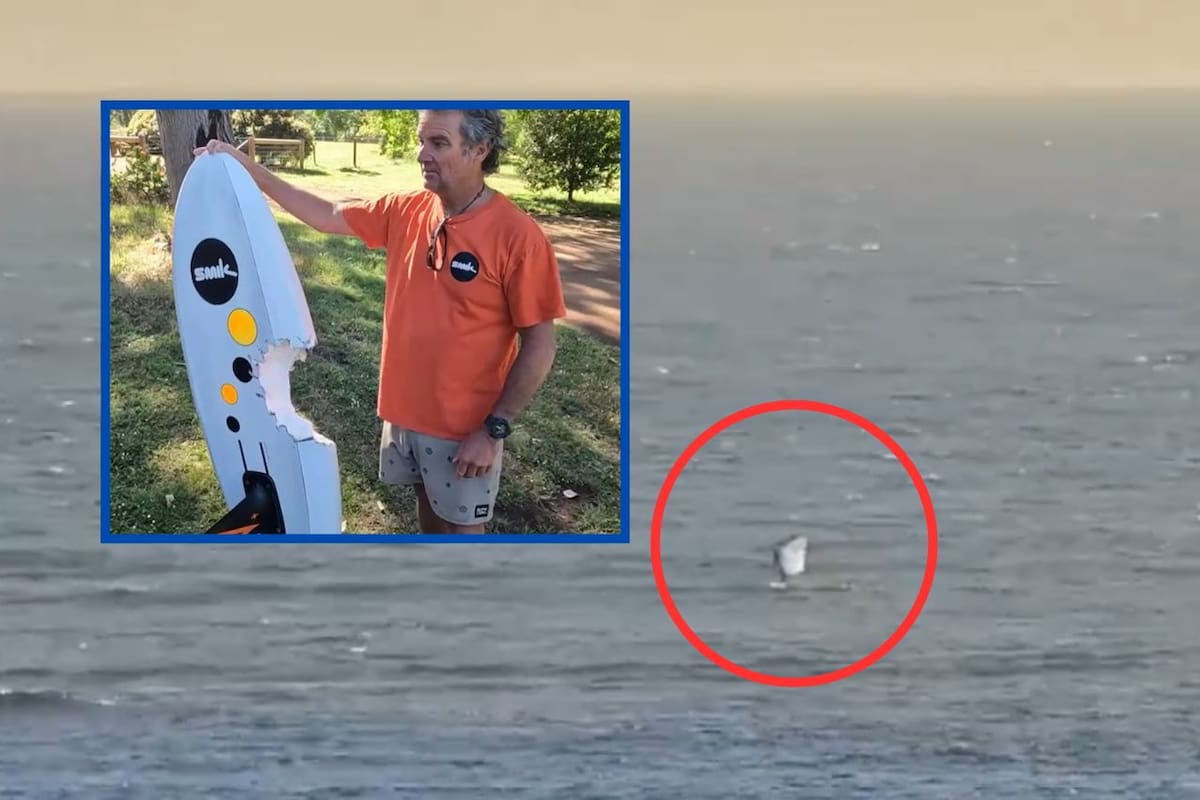 Windsurfista australiano sobrevive a ataque de tiburón en Margaret River tras pelea bajo el agua