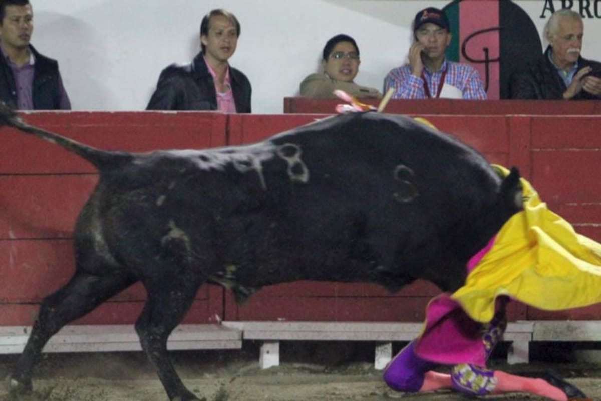 Hilda Tenorio, torera mexicana, recibe letal cornada