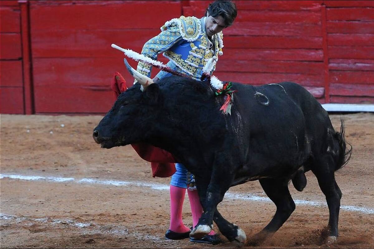 Jueza de CDMX niega suspensión definitiva contra corridas de toros; juicio continúa