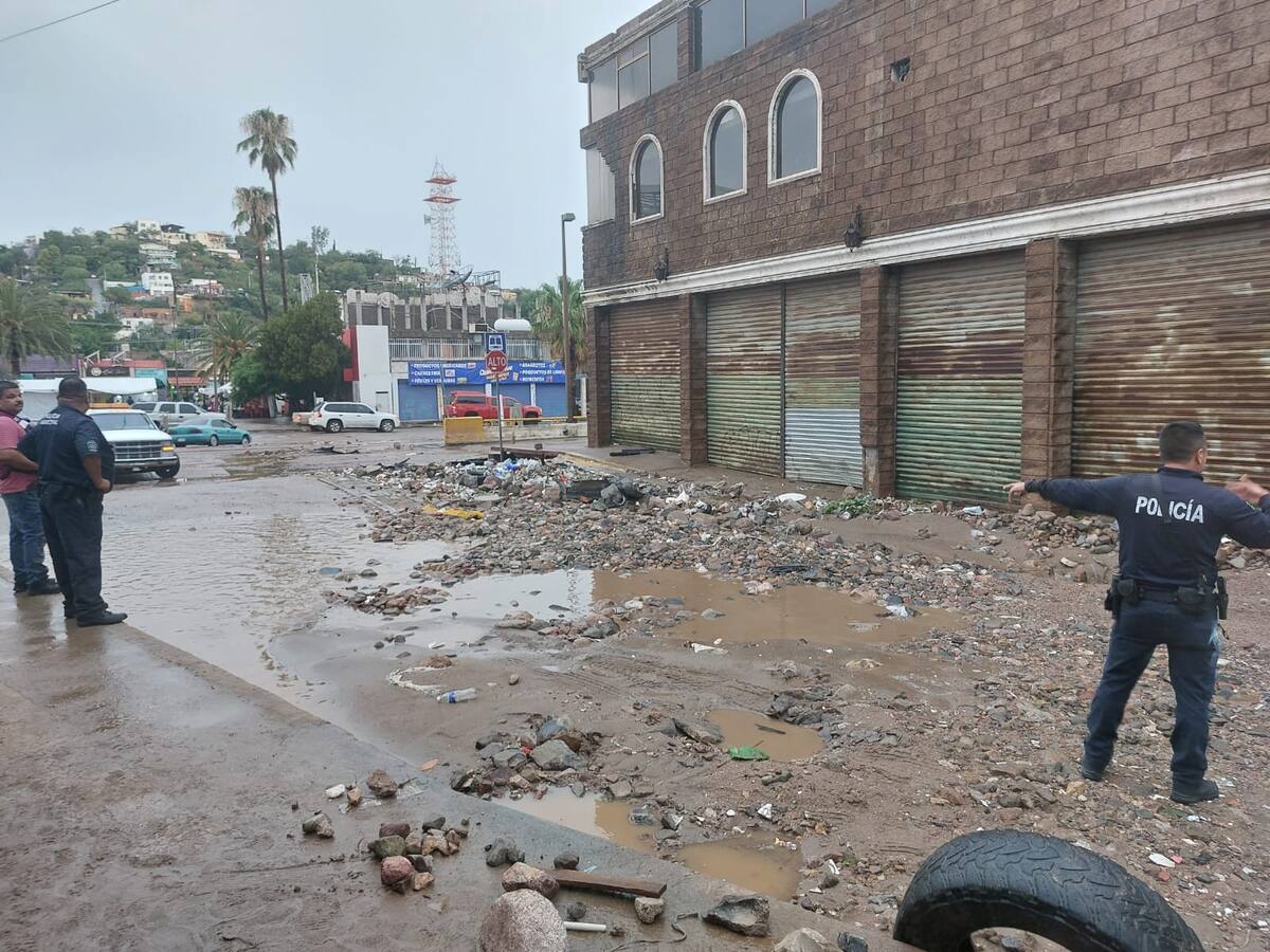 La pronta intervención de la maquinaria ayudó a que fuera liberado el acceso / Foto: Marco Manríquez