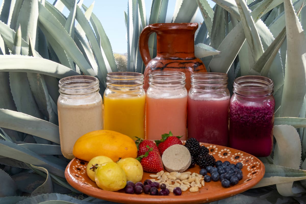 ¿El pulque es sucio? Mitos, realidad y lo que debes saber antes de consumirlo