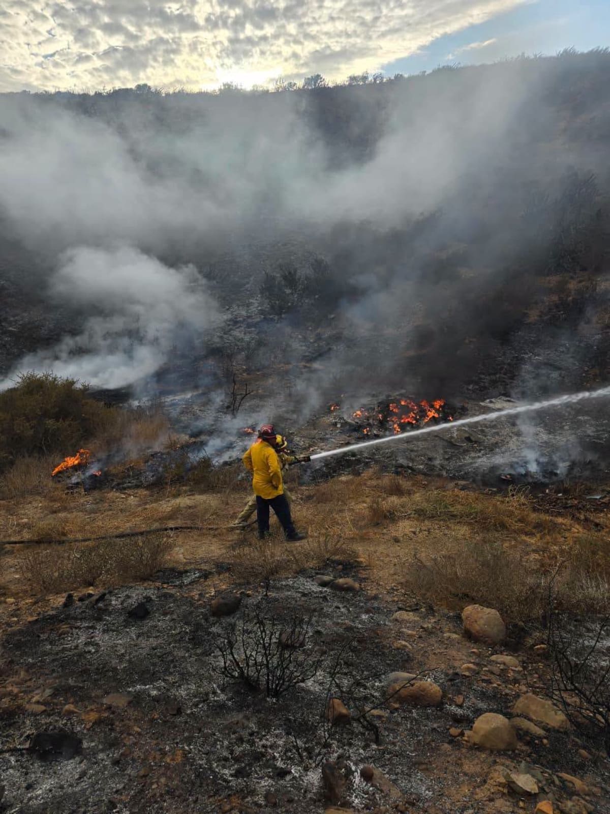 El incendio afectó aproximadamente 15 hectáreas de vegetación en el arroyo San Simón, San Quintín. Foto: Cortesía
