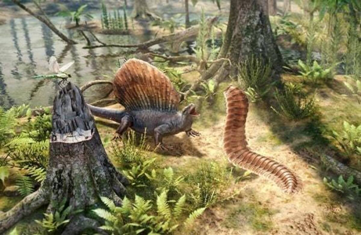 Período Carbonífero.