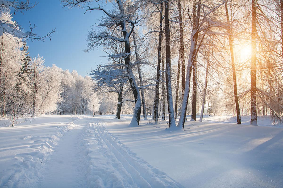 Qué pasaría si el invierno de Game of Thrones sucediera en realidad