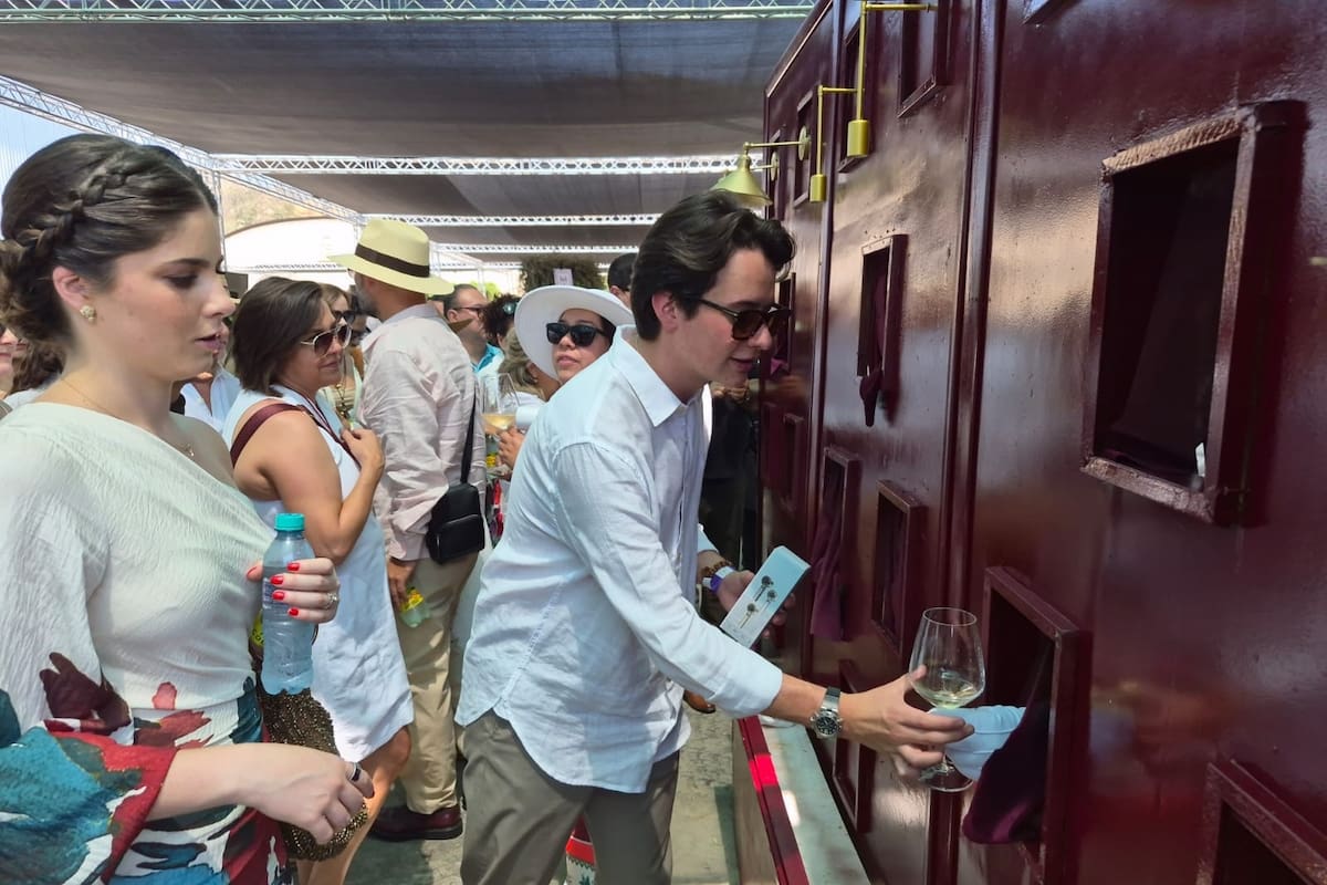 Industria del vino impulsa economía de Ensenada y genera inversión, empleo y turismo durante todo el año