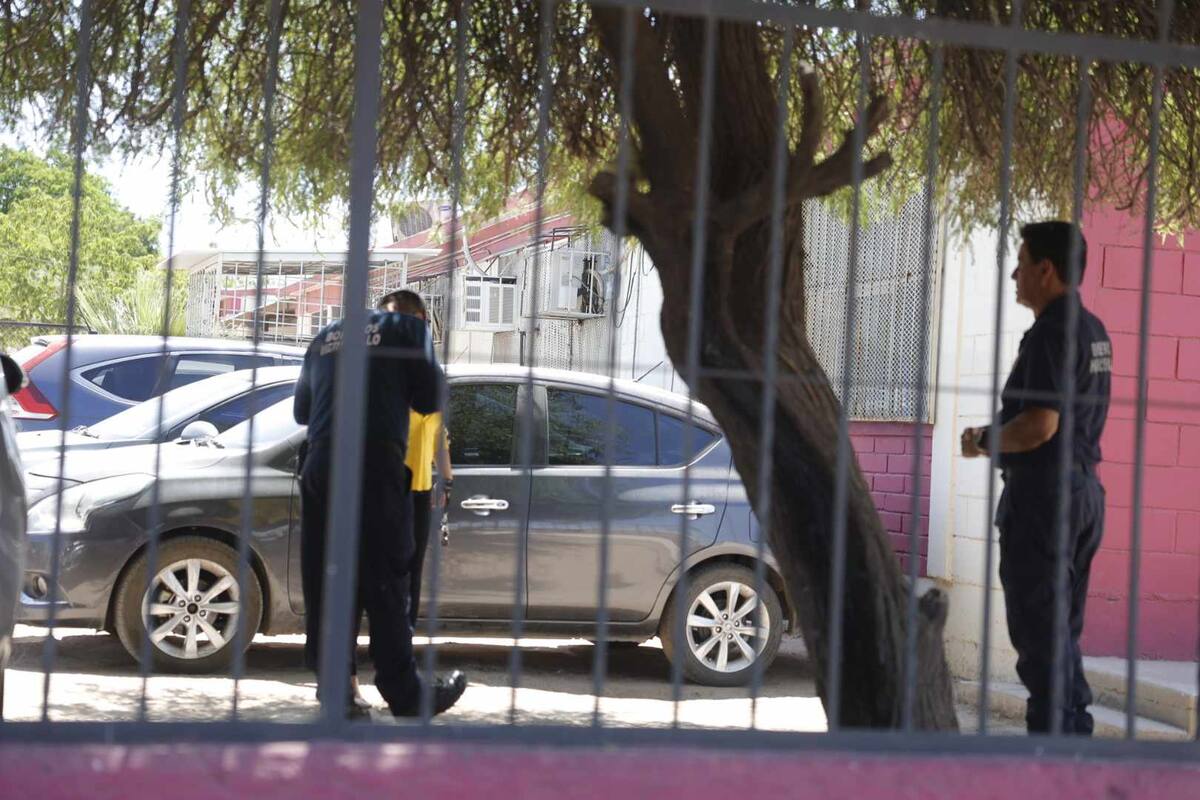 Bomberos revisan donde están las abejas dentro de la escuela primaria de la colonia Los Jardines de Hermosillo. FOTO: TEODORO BORBÓN
