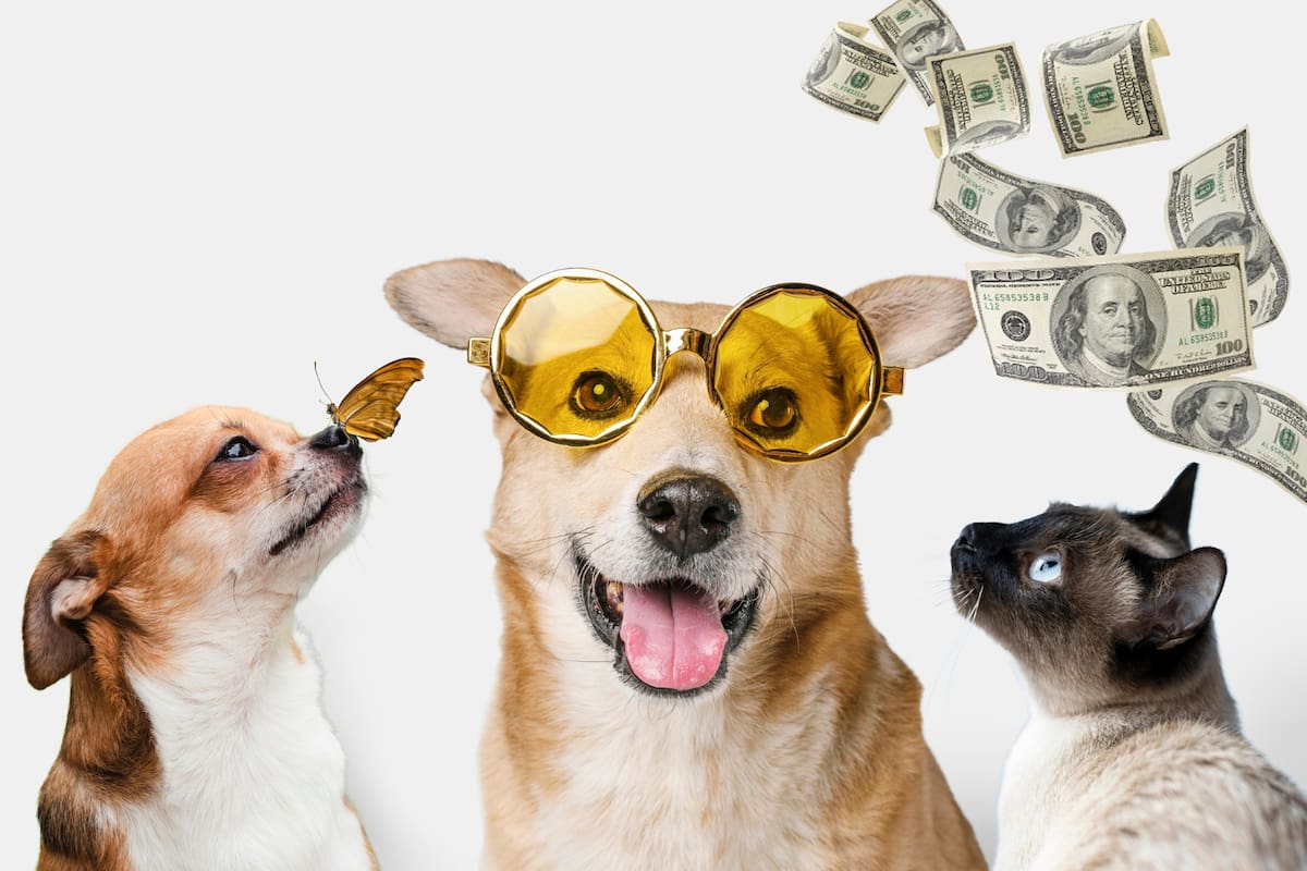 ¿Puedes heredar a tus mascotas?