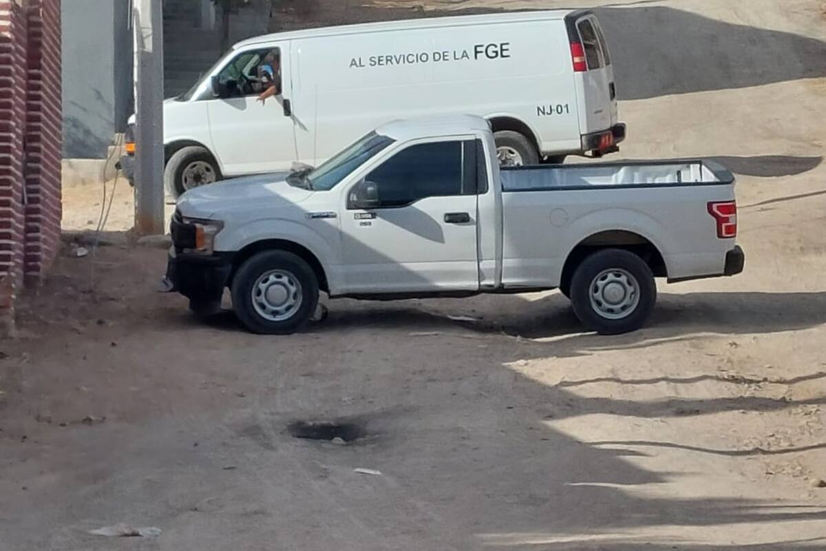 Mueren hombre y su perro electrocutados