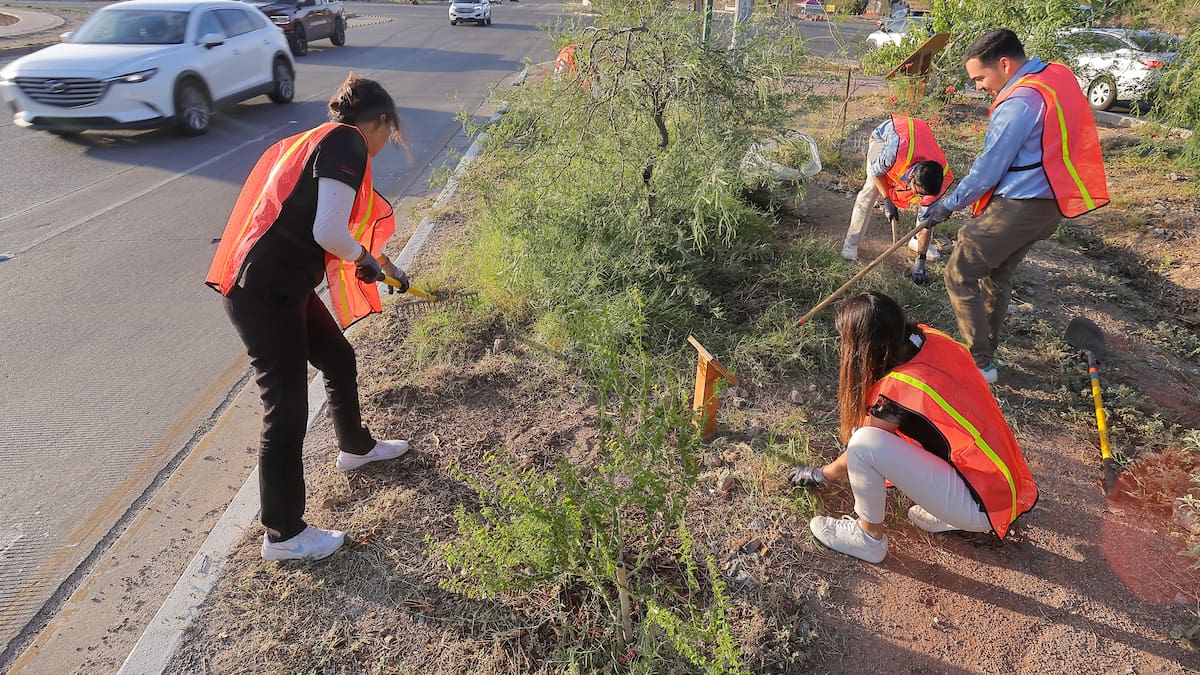 Buscan tener barrios más frescos: Asociaciones civiles presentarán resultados de estudio comunitario en cinco colonias de Hermosillo