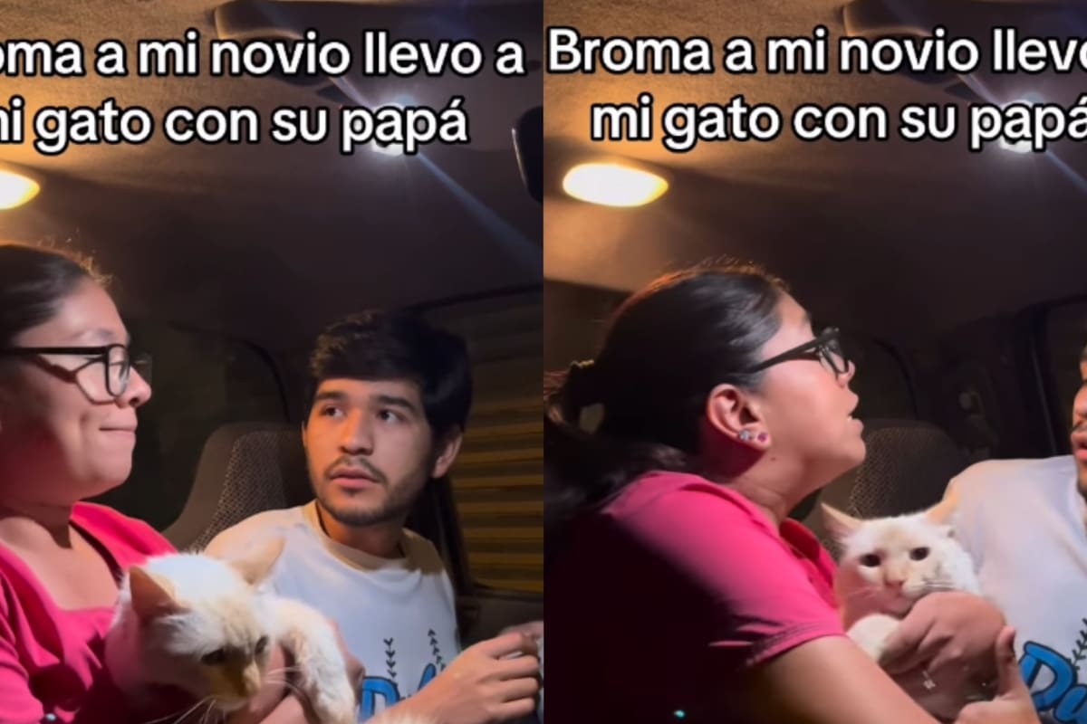 “No es un bebé, no tiene sus apellidos”: joven bromea con su novio sobre llevar a su gato con su ex por ‘custodia compartida’