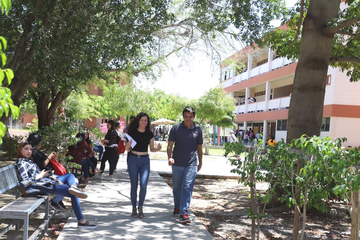 Viajan 248 "búhos" a otros países a estudiar