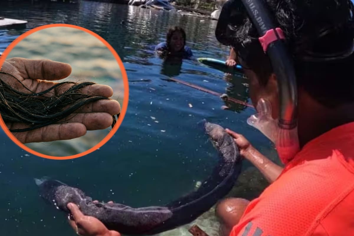 Con el impacto ambiental extendiéndose en el Golfo de México, activistas en Oaxaca recolectan cabello humano y de animales para tejer redes que ayuden a limpiar hidrocarburos y proteger la vida marina
