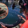 Con el impacto ambiental extendiéndose en el Golfo de México, activistas en Oaxaca recolectan cabello humano y de animales para tejer redes que ayuden a limpiar hidrocarburos y proteger la vida marina