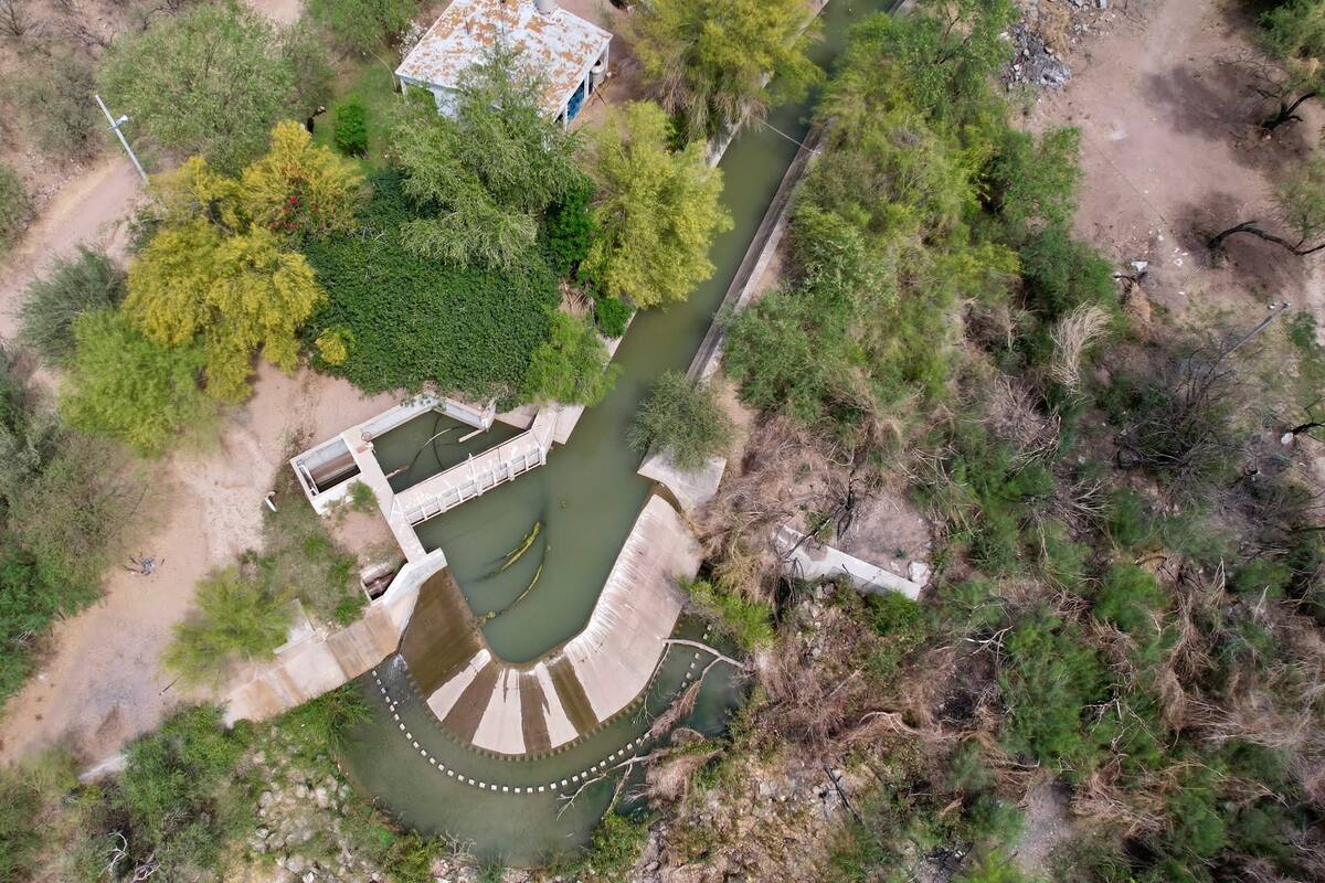 Buscan crear el Corredor Verde Río Sonora