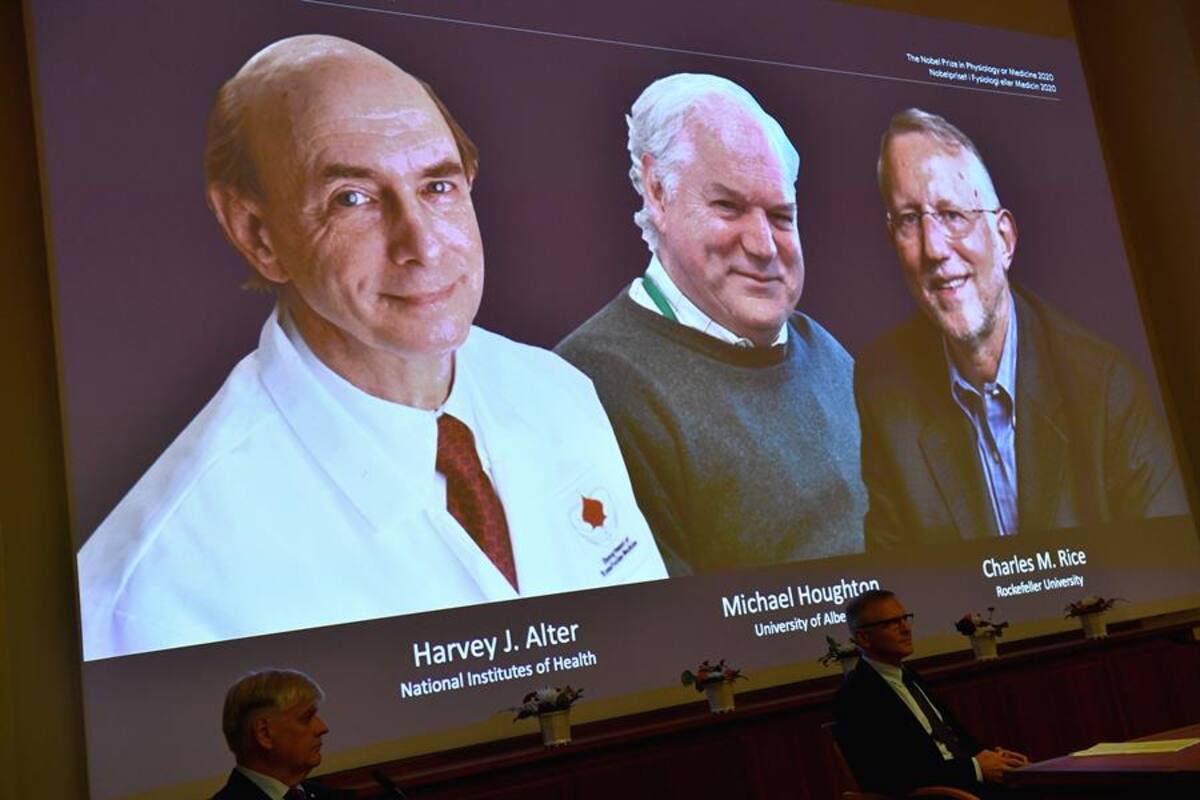 Premio Nobel de Medicina para Harvey J. Alter, Charles M. Rice y Michael Houghton, los descubridores del virus de la hepatitis C