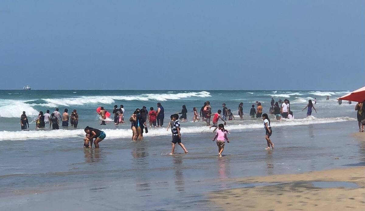 Foto: Carmen Gutiérrez