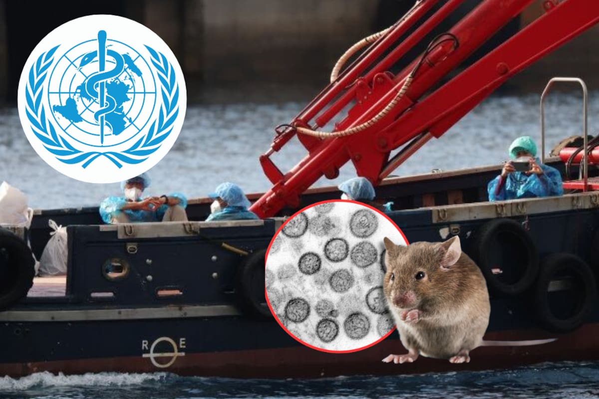 EEUU no impondrá cuarentena obligatoria a ciudadanos evacuados del crucero tras brote de hantavirus que obligó a desembarcar en pasajeros en España y la OMS advierte que esto representa riesgos