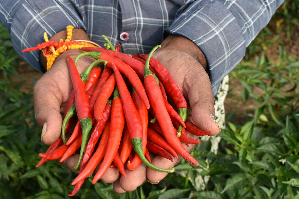 Imagen tomada de Pexels