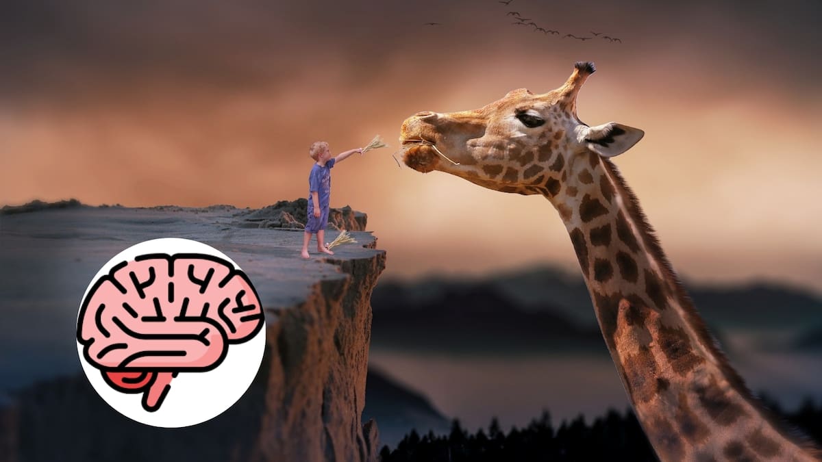 4 Descubrimientos sobre los sueños que desafían nuestra noción de la realidad