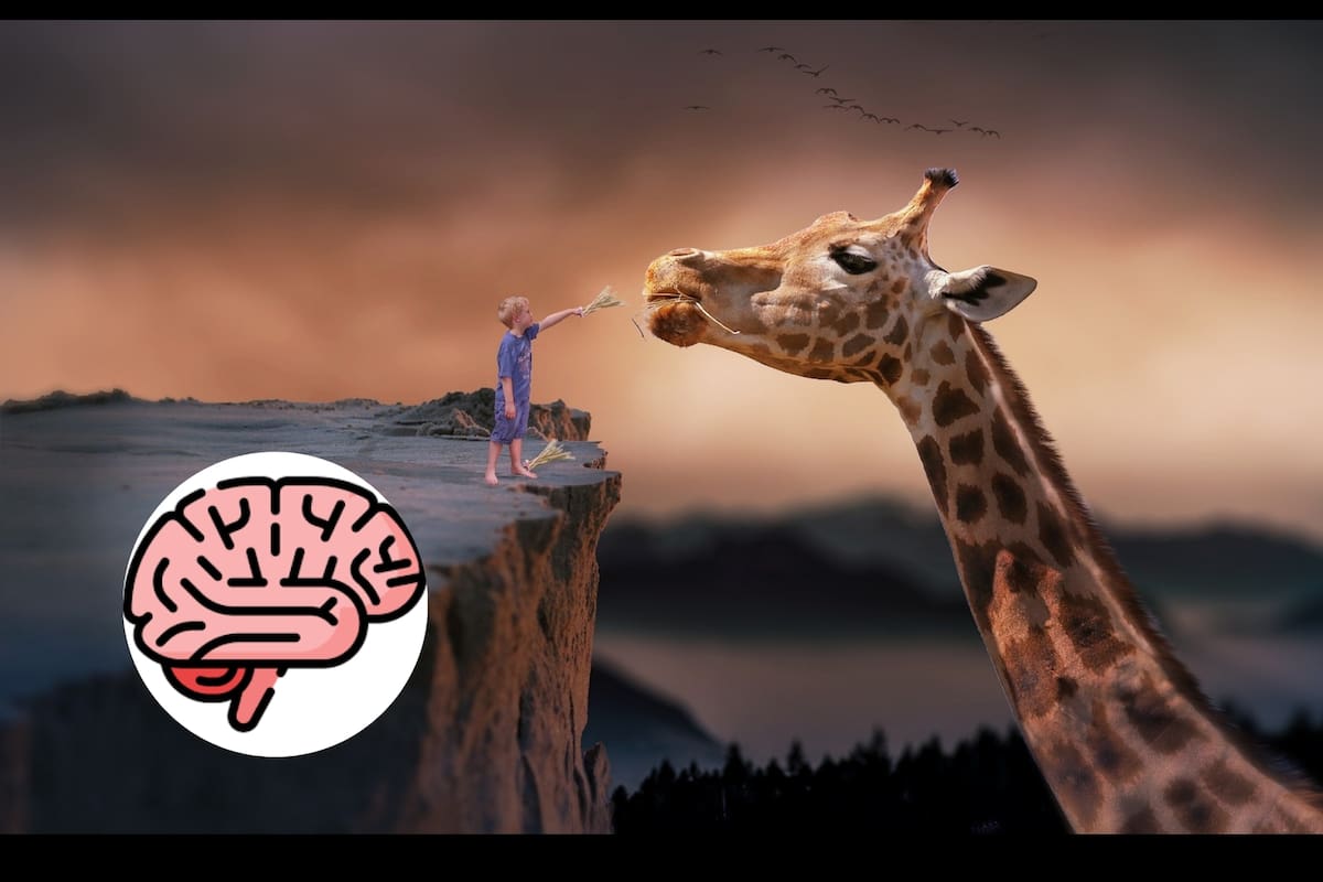 4 Descubrimientos sobre los sueños que desafían nuestra noción de la realidad